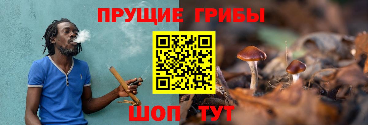 Галлюциногенные грибы MAGIC MUSHROOMS  Вход с VPN  Кудрово 